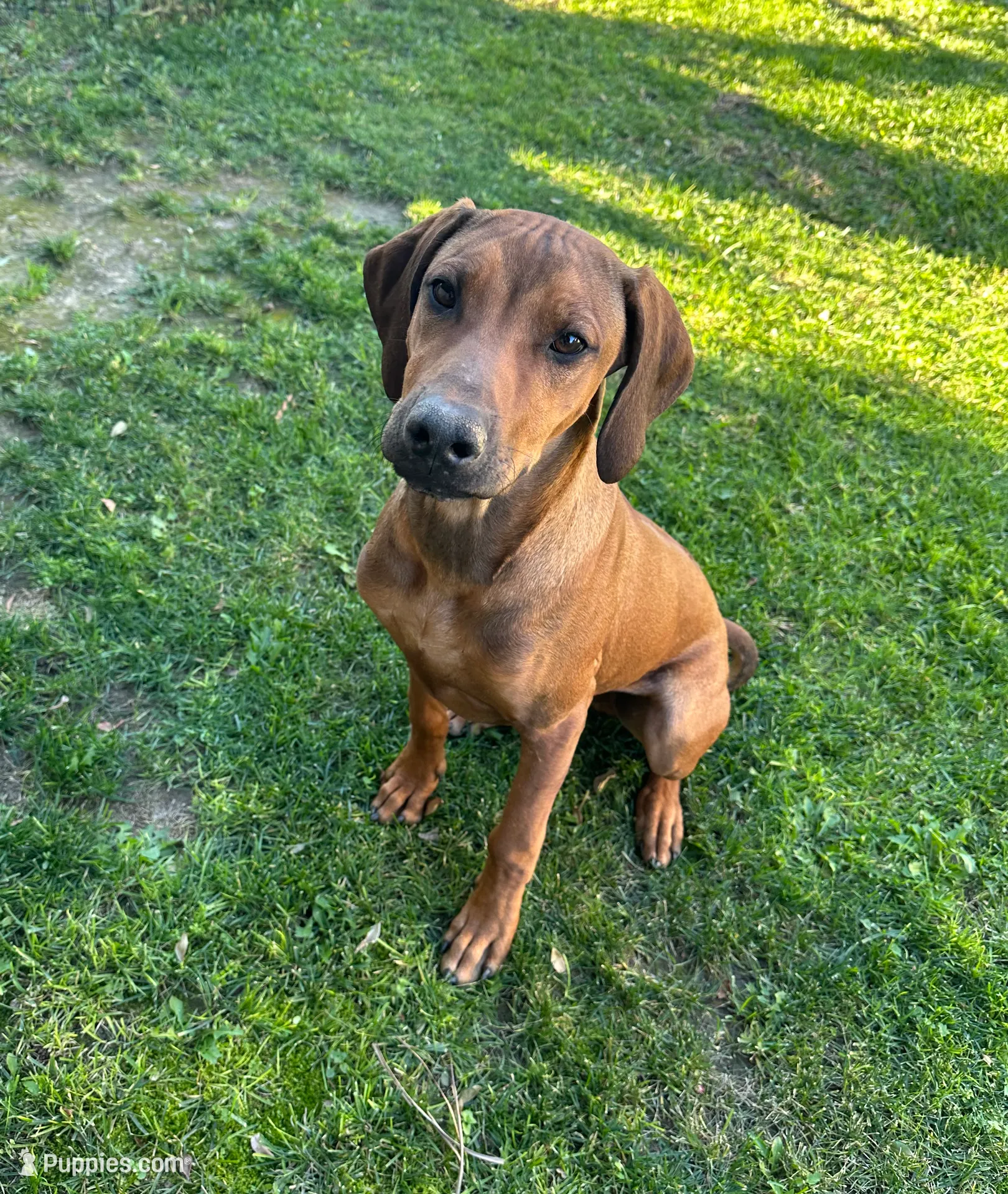 processed/7b074e85-781d-4f77-aec0-f7427c2502d6/listing/c5efdfd5-2df9-446f-9c9e-4ab5ffcfefd6/59c4a15e-e10e-45bf-89be-c774edc7408d