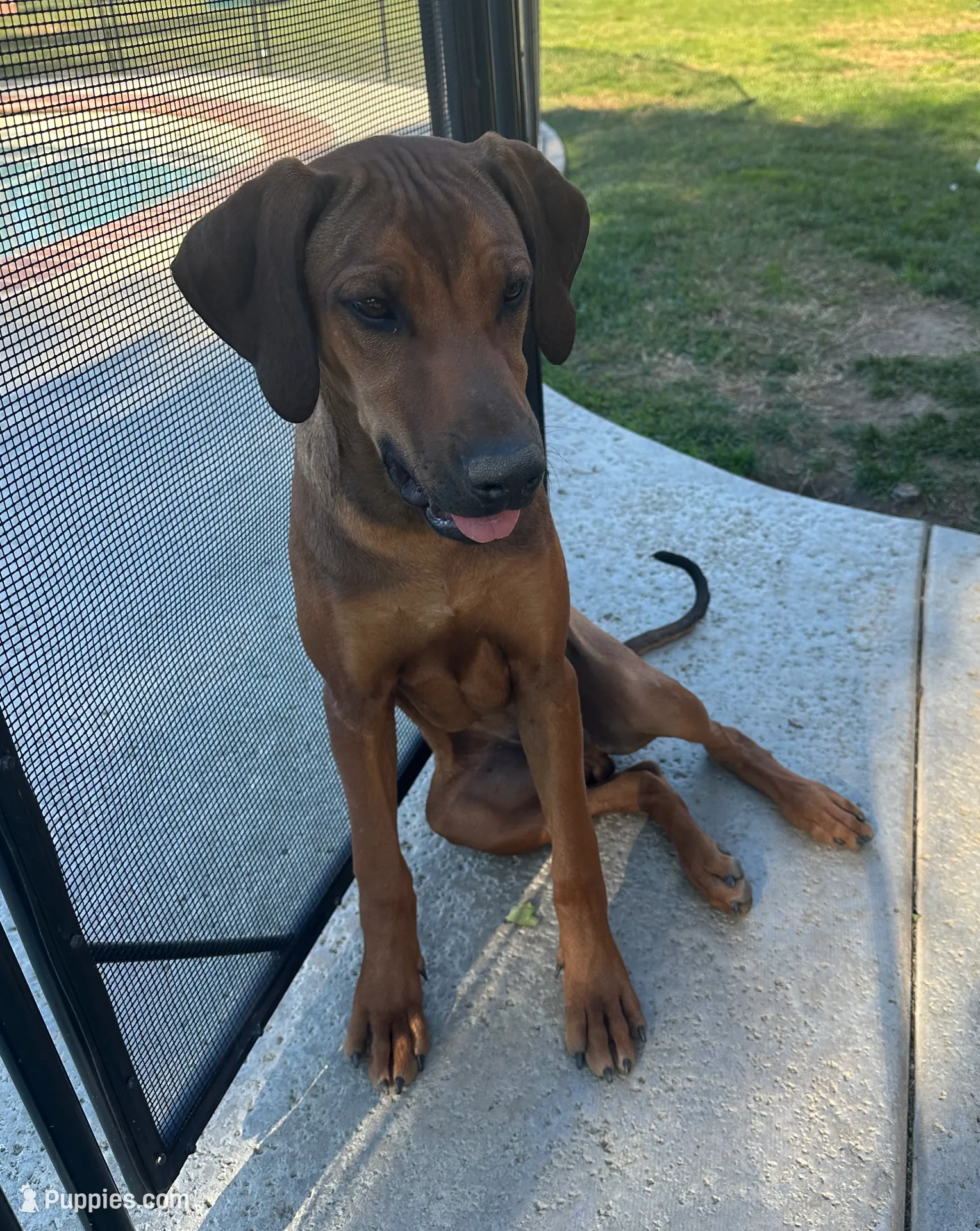 processed/7b074e85-781d-4f77-aec0-f7427c2502d6/listing/c5efdfd5-2df9-446f-9c9e-4ab5ffcfefd6/bc354e17-58f0-4f7e-882a-56de5f3b018b