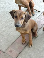 processed/7b074e85-781d-4f77-aec0-f7427c2502d6/listing/c5efdfd5-2df9-446f-9c9e-4ab5ffcfefd6/ed8fb3bd-a4f2-469c-8fc7-97d9e134a6b3