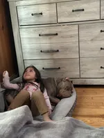 Dolce, a female American Bully for sale in East Hartford, CT – 6 of 9