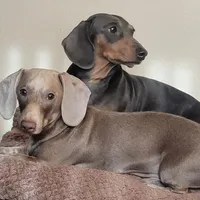 processed/7b2a9a1b-b019-4715-9ce7-2d2308f25e4d/facility/5e71d511-26a5-4560-9348-47e1372b93e6