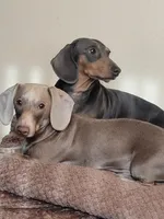 processed/7b2a9a1b-b019-4715-9ce7-2d2308f25e4d/facility/5e71d511-26a5-4560-9348-47e1372b93e6