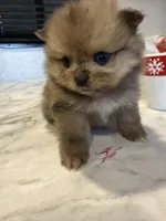 processed/7b2d94f9-b754-49d5-ba67-f57e3f000c09/listing/c221f882-8b7e-4bea-bbdc-3a58b8e9b7a3/5fdfe9c5-f4fc-4b04-8c0a-977d64c2aadb