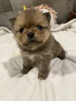 processed/7b2d94f9-b754-49d5-ba67-f57e3f000c09/listing/c221f882-8b7e-4bea-bbdc-3a58b8e9b7a3/89c5bd3f-8a92-4bf6-b2ef-262c7660d39d