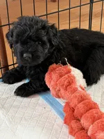 processed/7b369ff6-ca83-48d2-90c0-4587ad5435c2/listing/1afa8033-b82a-4698-93fa-2a9413715628/54ea845c-be72-4034-8ead-7f7ae2043275