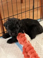 processed/7b369ff6-ca83-48d2-90c0-4587ad5435c2/listing/1afa8033-b82a-4698-93fa-2a9413715628/675aa92d-d163-4714-bb45-73b86116df18