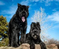 processed/7b369ff6-ca83-48d2-90c0-4587ad5435c2/listing/1afa8033-b82a-4698-93fa-2a9413715628/d712d92d-3309-4ce4-ac06-d6d2d4b3f21d