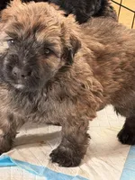 processed/7b369ff6-ca83-48d2-90c0-4587ad5435c2/listing/76e245fc-e4ab-4e9e-9bcb-a292abb7db87/70e92e29-5b9b-40cf-aa62-b294333a27dc