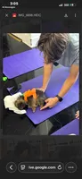 Italy -AKC -reduced, a male Pomeranian for sale in Lexington, KY – 4 of 6