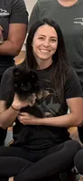 Iggy-AKC , a male Pomeranian for sale in Danville, KY – 4 of 4