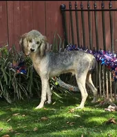 processed/7b3cdeb2-940c-4fb2-82cb-fc0b27c50cc5/listing/1b8afa77-a4b1-4c2c-bb3c-976c8f89dcb9/0baa9f33-31a1-4136-b6f3-df4b5dd06e83