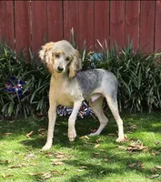 processed/7b3cdeb2-940c-4fb2-82cb-fc0b27c50cc5/listing/1b8afa77-a4b1-4c2c-bb3c-976c8f89dcb9/41e89249-e778-4450-9b57-bdfbbee42ef4