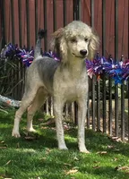 processed/7b3cdeb2-940c-4fb2-82cb-fc0b27c50cc5/listing/1b8afa77-a4b1-4c2c-bb3c-976c8f89dcb9/47e828a0-af3e-42ab-9a2c-32b5745d2fe8