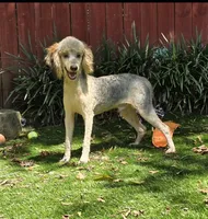 processed/7b3cdeb2-940c-4fb2-82cb-fc0b27c50cc5/listing/1b8afa77-a4b1-4c2c-bb3c-976c8f89dcb9/65467b5d-bf08-495b-8ee3-4fce2948d963