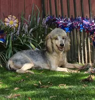 processed/7b3cdeb2-940c-4fb2-82cb-fc0b27c50cc5/listing/1b8afa77-a4b1-4c2c-bb3c-976c8f89dcb9/78c10669-5cc1-436f-abaf-1eccd7bd8ce3