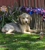 processed/7b3cdeb2-940c-4fb2-82cb-fc0b27c50cc5/listing/1b8afa77-a4b1-4c2c-bb3c-976c8f89dcb9/96f35106-3ef4-4bc4-9825-43eca589ed36