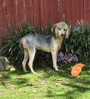 processed/7b3cdeb2-940c-4fb2-82cb-fc0b27c50cc5/listing/1b8afa77-a4b1-4c2c-bb3c-976c8f89dcb9/a6d003a1-20cc-48de-af5c-5e11ffce9745