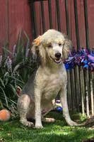 processed/7b3cdeb2-940c-4fb2-82cb-fc0b27c50cc5/listing/1b8afa77-a4b1-4c2c-bb3c-976c8f89dcb9/e50e550d-8dc3-478f-9555-86124b60e76a