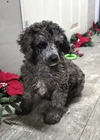 processed/7b3cdeb2-940c-4fb2-82cb-fc0b27c50cc5/listing/35b51758-62f0-44d9-aee7-eda2ff044f95/42d4c838-139c-45bb-add9-9c4e5c7bc169