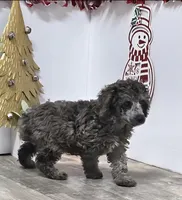 processed/7b3cdeb2-940c-4fb2-82cb-fc0b27c50cc5/listing/35b51758-62f0-44d9-aee7-eda2ff044f95/9e7d8fed-1e73-4293-b2e5-4a7573530996