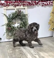 processed/7b3cdeb2-940c-4fb2-82cb-fc0b27c50cc5/listing/35b51758-62f0-44d9-aee7-eda2ff044f95/c553ea79-b5a7-468b-85c3-d7a4ff3a1bf4