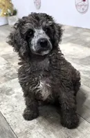 processed/7b3cdeb2-940c-4fb2-82cb-fc0b27c50cc5/listing/35b51758-62f0-44d9-aee7-eda2ff044f95/d2abce67-b59f-4300-be9e-c1c27fecf65f