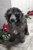 processed/7b3cdeb2-940c-4fb2-82cb-fc0b27c50cc5/listing/35b51758-62f0-44d9-aee7-eda2ff044f95/db026fe8-cda5-4a0d-bc2c-928050263dd5