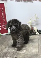 processed/7b3cdeb2-940c-4fb2-82cb-fc0b27c50cc5/listing/35b51758-62f0-44d9-aee7-eda2ff044f95/e7778ee8-872f-4596-b65f-b38854e6d4c0