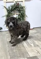 processed/7b3cdeb2-940c-4fb2-82cb-fc0b27c50cc5/listing/35b51758-62f0-44d9-aee7-eda2ff044f95/e7ed1e83-42f1-4046-8295-462799995f26