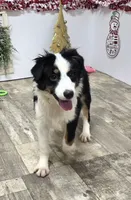 processed/7b3cdeb2-940c-4fb2-82cb-fc0b27c50cc5/listing/7dacea97-c6bd-4cb6-9c92-458b1fc64aca/16dffd9a-d802-4526-821f-62740ee62cbc