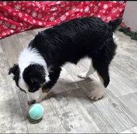 processed/7b3cdeb2-940c-4fb2-82cb-fc0b27c50cc5/listing/7dacea97-c6bd-4cb6-9c92-458b1fc64aca/33b7659b-28d0-4ca3-abfc-6faf7e6bd42d