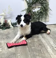 processed/7b3cdeb2-940c-4fb2-82cb-fc0b27c50cc5/listing/7dacea97-c6bd-4cb6-9c92-458b1fc64aca/8272200c-a08a-4575-908a-3a27c647bd0f