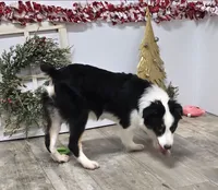 processed/7b3cdeb2-940c-4fb2-82cb-fc0b27c50cc5/listing/7dacea97-c6bd-4cb6-9c92-458b1fc64aca/a5be7adb-436e-43c3-8c01-7b6c30c15b25