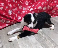 processed/7b3cdeb2-940c-4fb2-82cb-fc0b27c50cc5/listing/7dacea97-c6bd-4cb6-9c92-458b1fc64aca/bbebc32c-a84f-43c2-8e50-96e4603bf13b