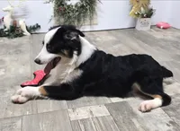 processed/7b3cdeb2-940c-4fb2-82cb-fc0b27c50cc5/listing/7dacea97-c6bd-4cb6-9c92-458b1fc64aca/c15732fc-f3ac-4b68-a676-0fa1cfdba10c