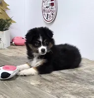 processed/7b3cdeb2-940c-4fb2-82cb-fc0b27c50cc5/listing/ece36165-d637-4be8-a19b-e0b5b1a60897/57aaa58f-52b5-41cc-9321-9bebb8f0d148