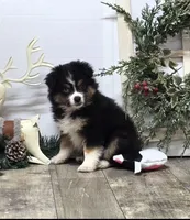 processed/7b3cdeb2-940c-4fb2-82cb-fc0b27c50cc5/listing/ece36165-d637-4be8-a19b-e0b5b1a60897/6f3c38fc-d474-433a-8eca-2ae425c2f211