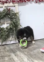 processed/7b3cdeb2-940c-4fb2-82cb-fc0b27c50cc5/listing/ece36165-d637-4be8-a19b-e0b5b1a60897/769b0a73-b93a-4448-a409-c94522d4197c