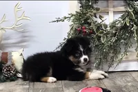 processed/7b3cdeb2-940c-4fb2-82cb-fc0b27c50cc5/listing/ece36165-d637-4be8-a19b-e0b5b1a60897/7a70939f-e6ae-4153-9fd2-61237504c043