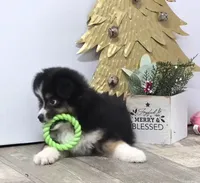 processed/7b3cdeb2-940c-4fb2-82cb-fc0b27c50cc5/listing/ece36165-d637-4be8-a19b-e0b5b1a60897/7d3ade0f-c9f8-4edb-907b-dc5373df10c7