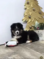 processed/7b3cdeb2-940c-4fb2-82cb-fc0b27c50cc5/listing/ece36165-d637-4be8-a19b-e0b5b1a60897/8d827006-0be5-4c1d-adbe-2900c8167bb9