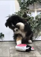 processed/7b3cdeb2-940c-4fb2-82cb-fc0b27c50cc5/listing/ece36165-d637-4be8-a19b-e0b5b1a60897/aba75e8d-ef30-4606-abb6-11c51c2eeb32