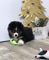 processed/7b3cdeb2-940c-4fb2-82cb-fc0b27c50cc5/listing/ece36165-d637-4be8-a19b-e0b5b1a60897/c6934df8-9134-44cf-979e-dc102f1485cc