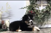 processed/7b3cdeb2-940c-4fb2-82cb-fc0b27c50cc5/listing/ece36165-d637-4be8-a19b-e0b5b1a60897/f78ef840-f481-46d2-9b70-177872f63ec1