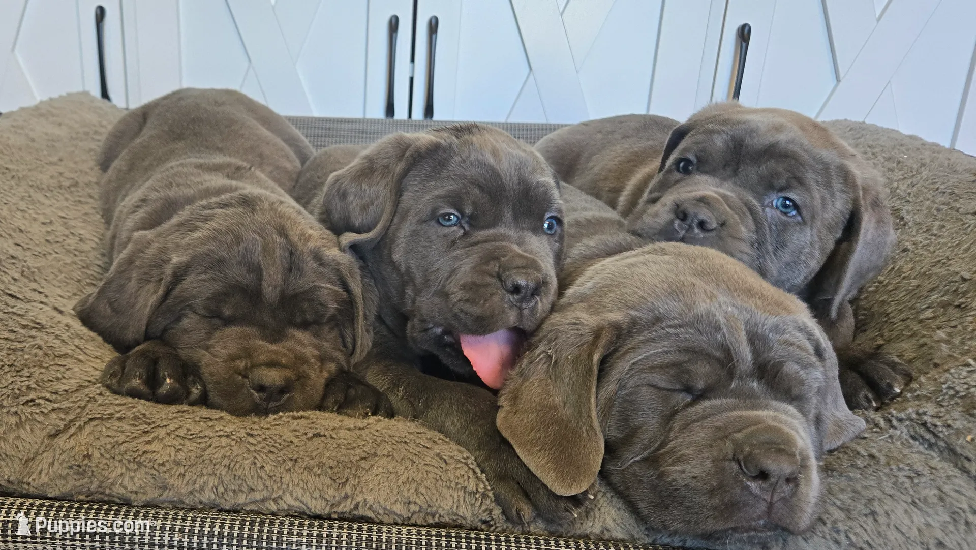 processed/7b3fe0df-8353-4118-b03b-4f8576c464a0/listing/d9313d0d-fe48-49dd-bcb3-3e20daebdfe9/9b30fac5-57fe-4816-bfe8-3fb0babfc3a6