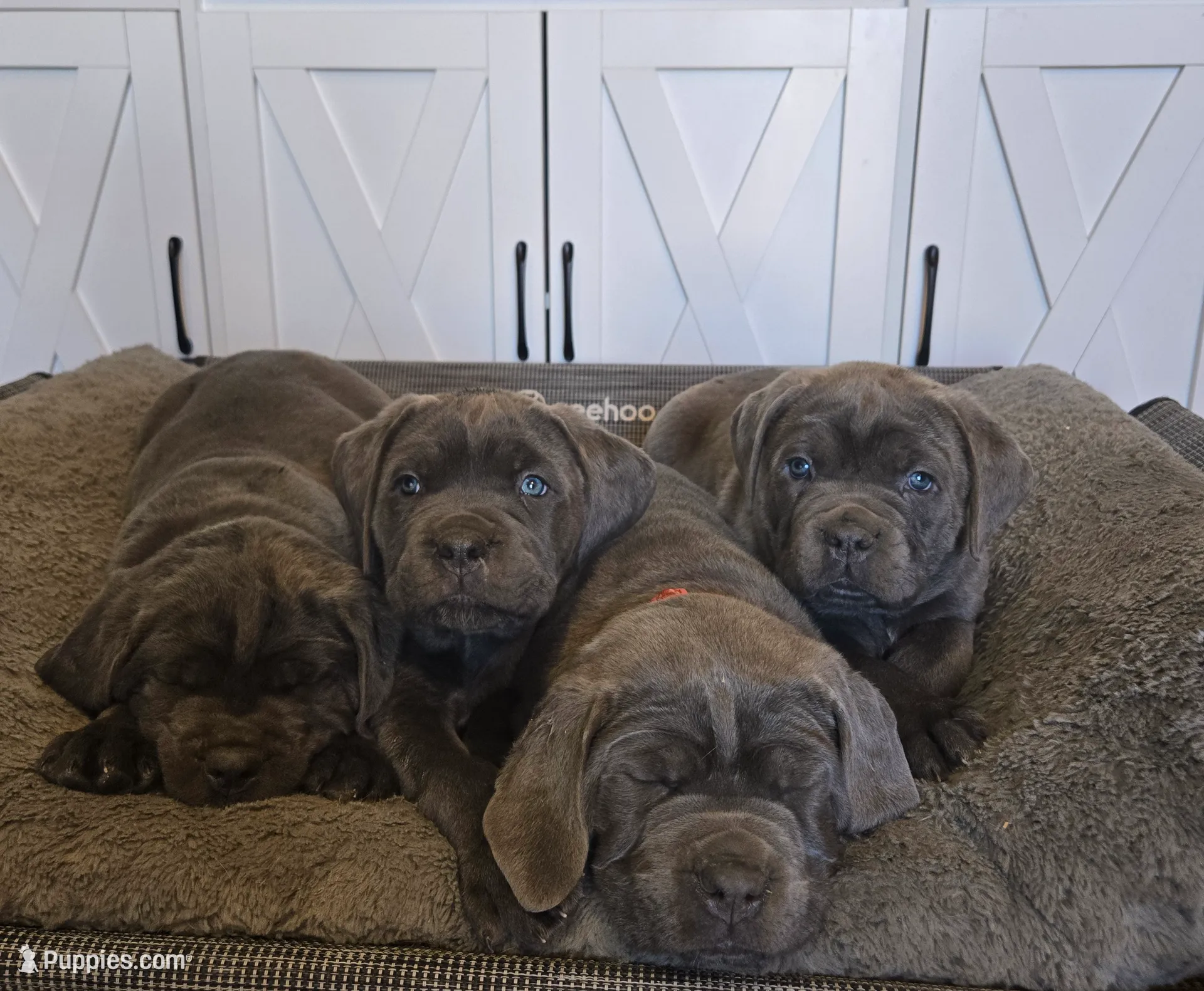 processed/7b3fe0df-8353-4118-b03b-4f8576c464a0/listing/d9313d0d-fe48-49dd-bcb3-3e20daebdfe9/acb5a56a-1ac2-4857-94f0-63231a6e178c