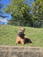 processed/7b3fe0df-8353-4118-b03b-4f8576c464a0/listing/ddbda739-9c67-459f-84ba-ec4c330964c9/5c4cbb3b-cdf8-466d-a937-a5b531cdaf3a