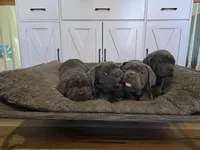 processed/7b3fe0df-8353-4118-b03b-4f8576c464a0/listing/ddbda739-9c67-459f-84ba-ec4c330964c9/e2de5dfc-7bdc-4445-b893-f43c0b7d2a54