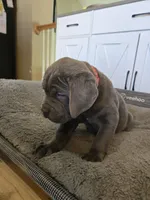 processed/7b3fe0df-8353-4118-b03b-4f8576c464a0/listing/ddbda739-9c67-459f-84ba-ec4c330964c9/eee55729-cb4f-443f-9a7b-b96bc50732e3