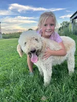 processed/7b4b05b3-1231-466d-b963-cf9d158b2268/facility/48efbbc7-6ca6-4bfe-b168-c1a5145325b0